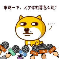 ���Β��|���{�������ͯe���_��800��  �I�ͨء��p��͹�Y�ʐ�