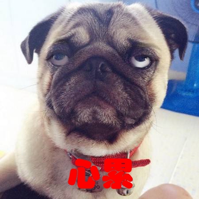 ���W�娥��x�_�����L���r���桲 ���ا��n�L���������a�e�a�Ór