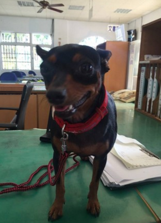 �s�h�˳o�i3���ø�I�� �d��30������E�N�N