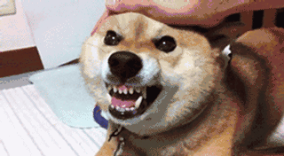 neaˤYvxֳ͐˥{LY練`t neaˤYvxֳ͐˥{LY練`t