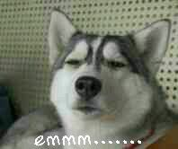 ���W�����D�J�L�^�������s�A �}�q���^�_�L�Y�͒ݤB��