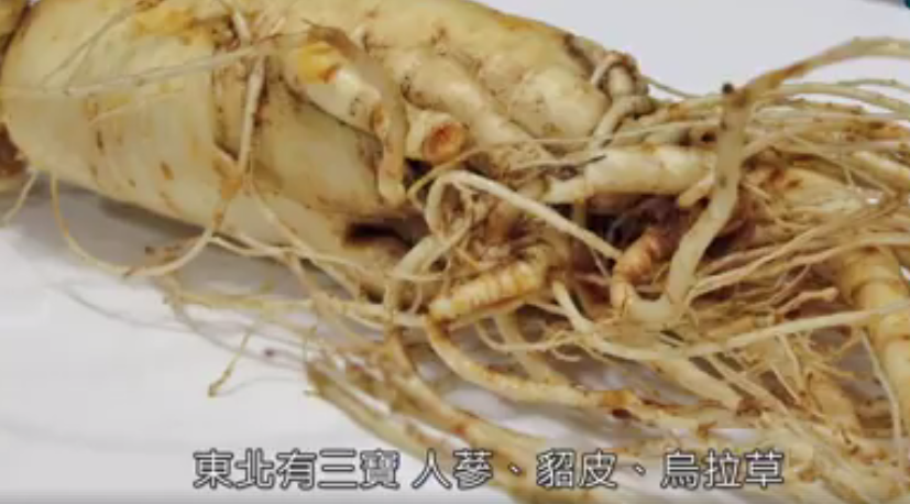 �M���z�s�Y�L�ȓr�������ɒ�|�S��ɐ棤���ʤ��H���z