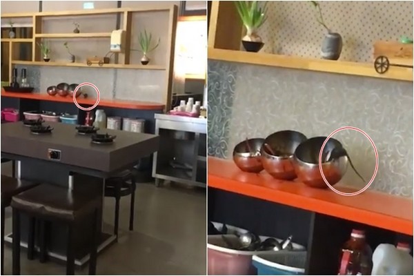 �ݐݕW�ܩ��l���@Ī�ި����@�����d�����ʕ[������y�N�I��