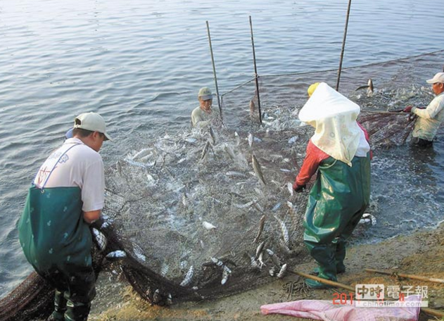 wByWWVfJ ϡLaYP wByWWVfJ ϡLaYP