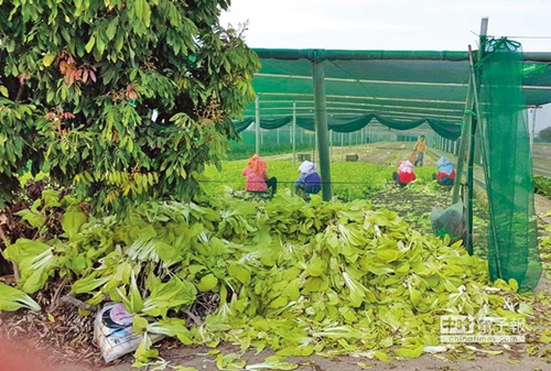 �哥�Ϭ�����𥫭P�԰��x�� �����n�L�p�g�S�{���K�ϥ���������