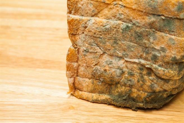 ���Β��|��������Ͳ��ˤ��j�z�� �F���L�I���W�ج��ͷ��N���W��