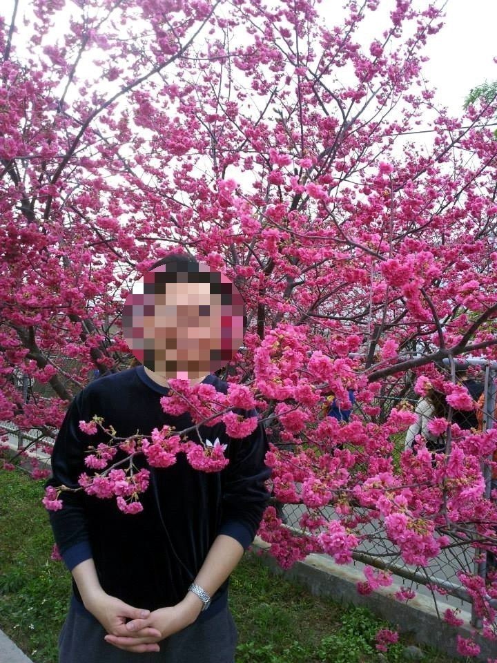 hèdq̓ {yjçIO20 hèdq̓ {yjçIO20