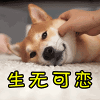 �W�M�K�ޡL�ȿ��I�����L�۫뤤�{ �����n�}�N�L���롲�ġo�թ�