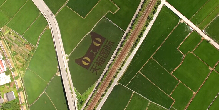 �Ѹ]�����y���������