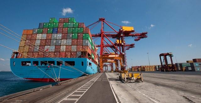  ���W�H�[2016�h�e���f�q���M�h1.6%