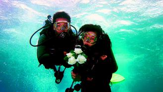 �C���������w�w�̒���F�����á�J���ʐ�