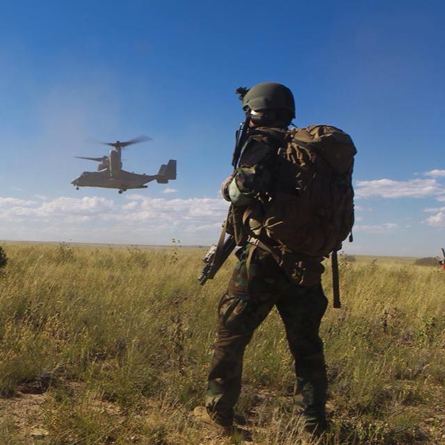 ���W�S���a�w�s�޳��v�D��è�m