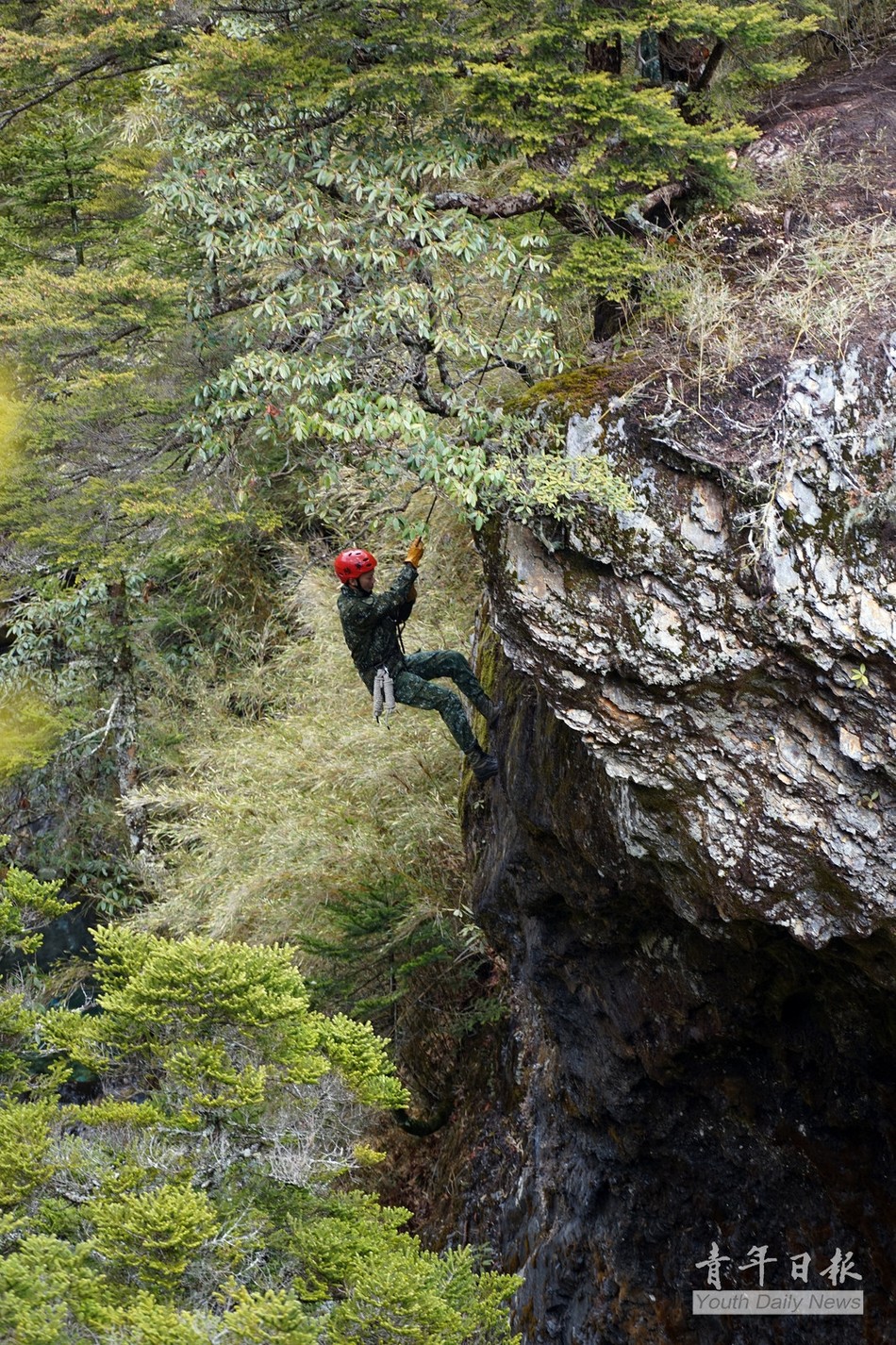 ���W�S���a�w�s�޳��v�D��è�m