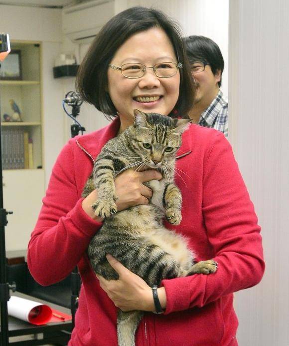 ���Y�������