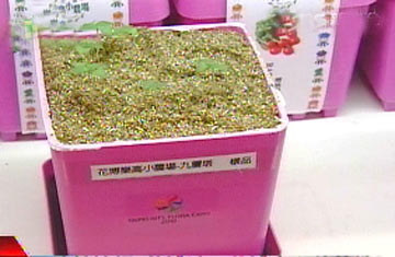 ��è�򩱨��Y�֢u�Ѭ������طR��ʕ[��������WTVBS�q�^��