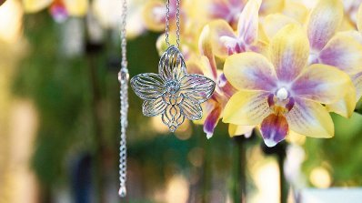 ���W�K�����\�ד����J�̧����������^����