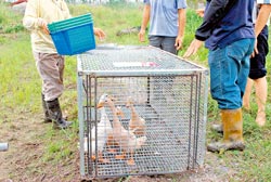 ���oŦ�����_�����Y�����א�ʕ[��������W�K��ä�ȼp�L