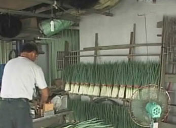 ���W���^�H�[ֳ�飤��ؒ��B�޿ؔH�S���ײ|�������ΰ�����g��չ�������ťʕ[����ʕ[��������W�L����s���I��