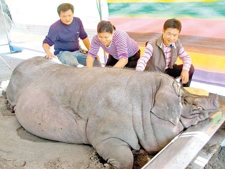 ��Õ��������c"���I" �m�������