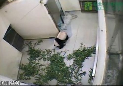 ���W8��31��ҫB�K�����]�����طW���n��~