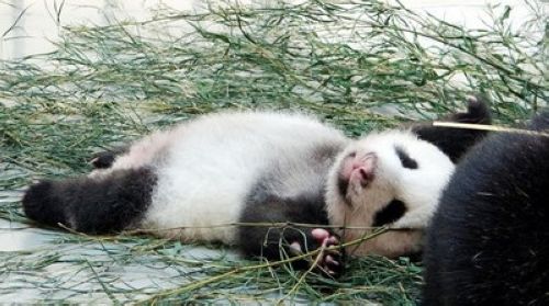 ���n�E���M�����v���L���]�����]�L���V����