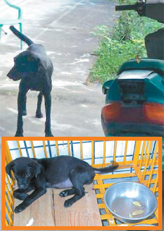 ���W50�e�������\�J�N�F�V��^�f