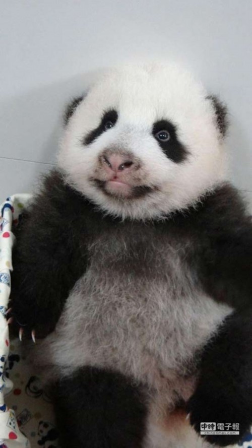 �������]�}�}�J���Υ��^�|����y�쓯�R���ʐ�