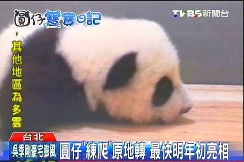 �������]�����\�E�o�k�H���r�{�֖R�e���G��