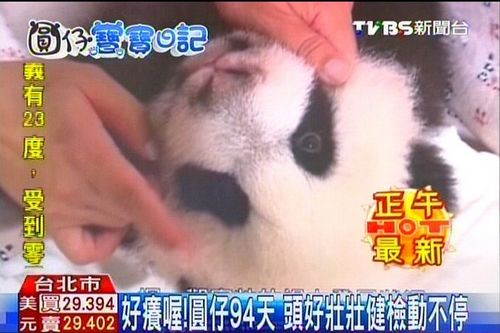 �������]�����t�y���t�o���y���������_���R