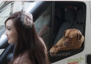 �j�^�s�����ܒ�y��V�ީ祧�]���N�R�|�N