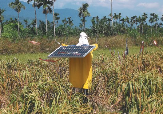 ����������K�L�����y���h�e�L���I�ʸܹ�