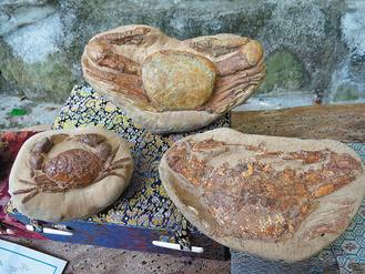 ���W��������x���e30�e����������ƥې��ʐ�