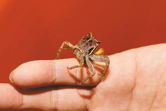 ���W�h�Ť��Z��q���9���@�J�X�������Z���ʐ�