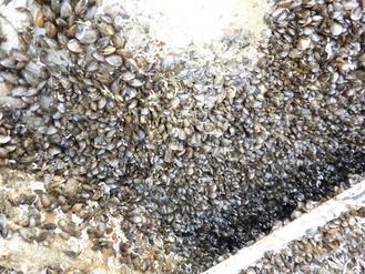 ���W��Iħ�����i���R���|�奬�e�󨩶�