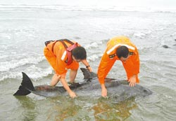 �����������~�i�L�夤�H�A�����Ó��j����ʐ�