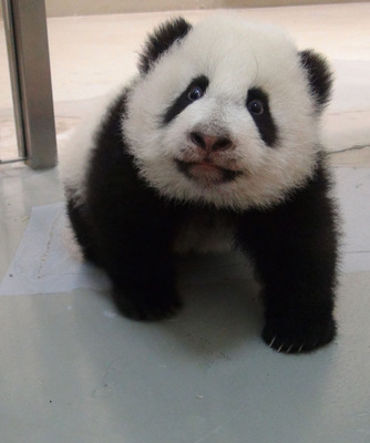 �哥����]�}�}�L���n���ť֯��Y�F�w�`���o