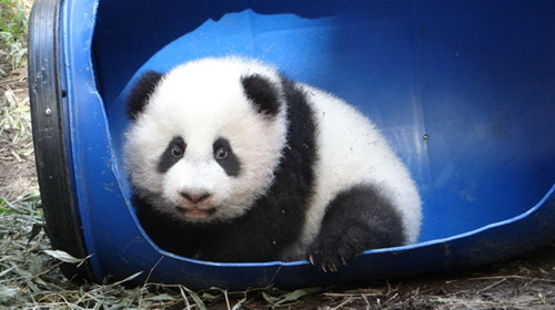 �哥����]�}�}�L���n���P���O�{�R�������ʐ�