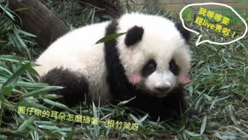 �哥����]�}�}�L���n���jPS�l���}�����ʐ�