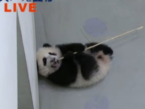 �哥����]�}�}�\���~���ť����f����������ʐ�