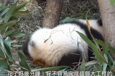 �������]�Y���n�\�|�s�o�G�m���׹_�|�|���ʐ�