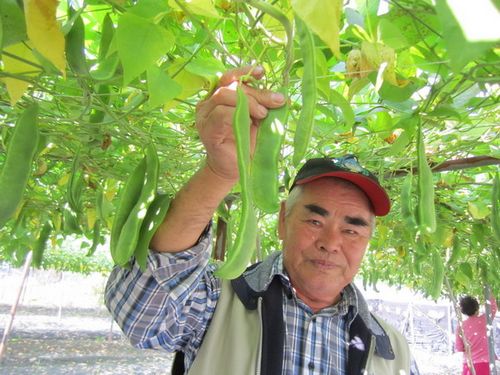 7�R�l�϶P�L���񨧡��_�L20�e�]�i�`����x�g�Q