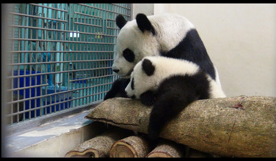 �����]���n���|�|��l���V����𤣖I���ʐ�