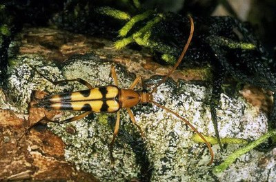 ���W���}�ѕ]�s�ѶP����L�����z�����ѕ]�����ʐ�