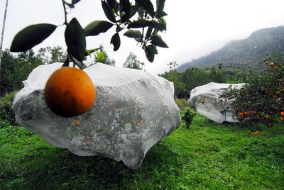 �L���r���j���Y��S�V����F���Œڥ���