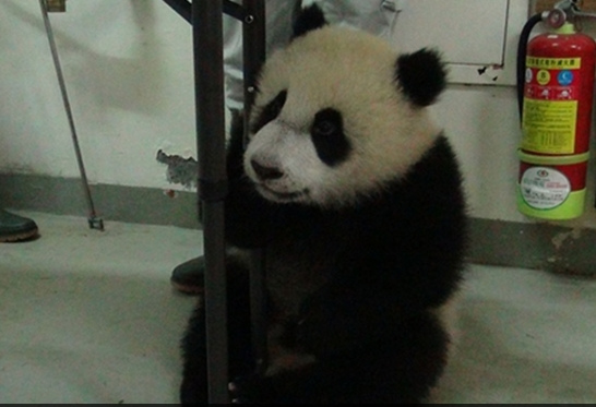 �L���n���������Z�F�ש۰k�e�i���ڨ���ʐ�