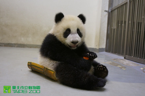 �哥����]�L���n���m�m�ҫD�٪��C��Įi����ʐ�