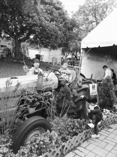 ������n�͐���K�q���W�L��X�����ΐ��ʐ�