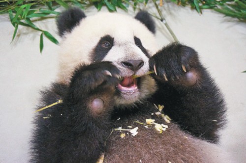 �哥����]�}�}�L���n��9�����m�L�ʓ������ʐ�