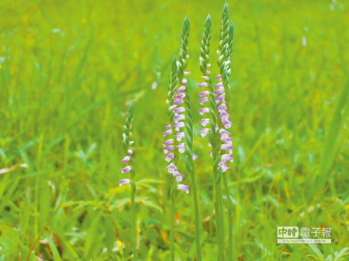 �哥�Ԥo���Z���´����}���Z���������礣����