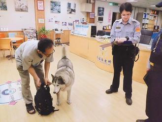 �n���N�������|���������W�򩱤������ʐ�